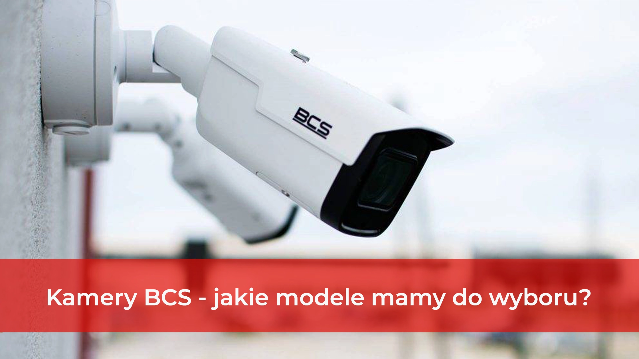 kamery-BCS-jakie-modele