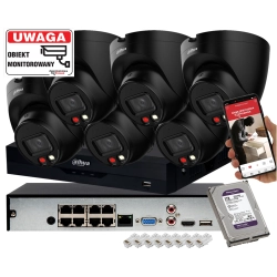 Zestaw monitoringu posesji 6 kopułowcyh kamer IP Dahua IPC-HDW1439V-A-IL-BLACK 4MPx z Podwójnym Oświetlaczem i Detekcja ludzi