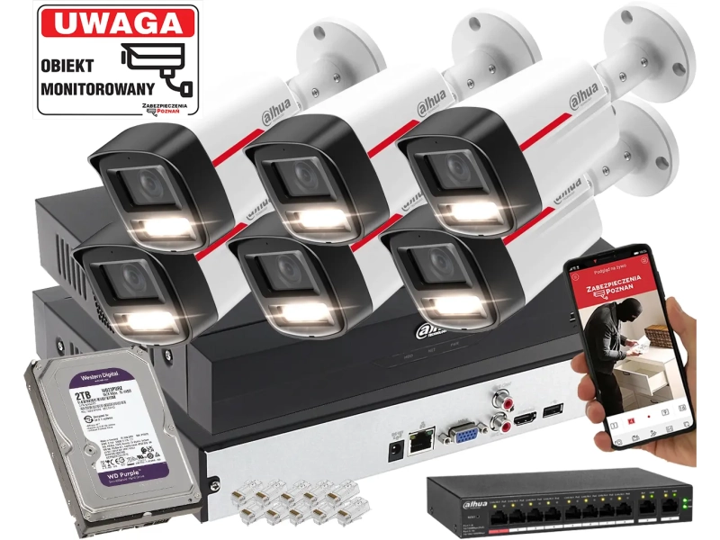 Profesjonalny system 6 kamer IP Dahua IPC-HFW2449TL-S-LED-0280B-PRO 4MPx WizSense WizColor SMD PLUS 2TB